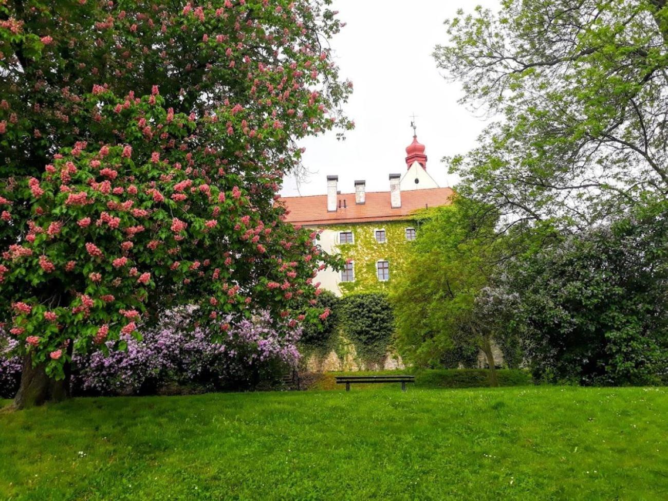 Lev I Sova Aparthotel Melnik Exterior photo